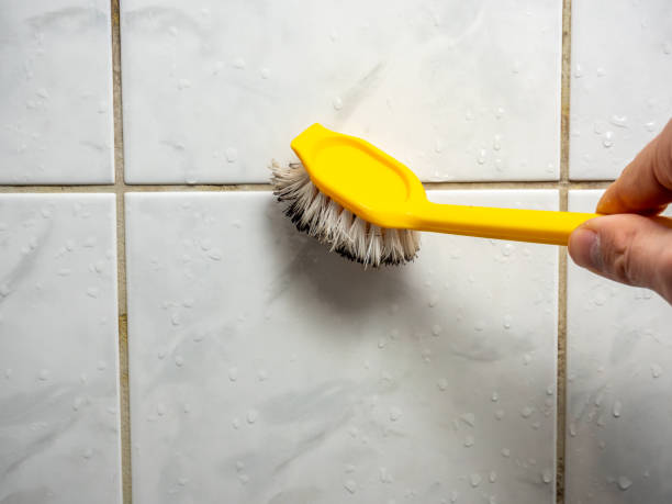 Best Mold Testing and Inspection Services in Raymond, WA