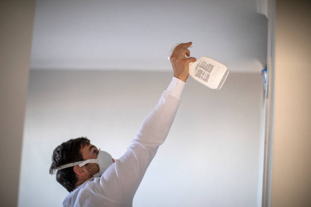 Best Industrial Mold Remediation in Raymond, WA
