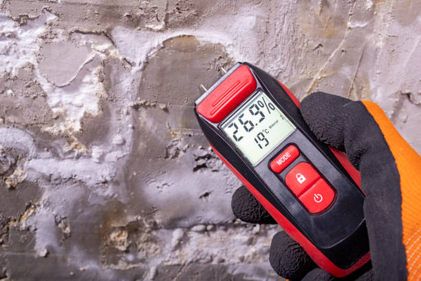 Best Mold Remediation for Specific Building Types in Raymond, WA