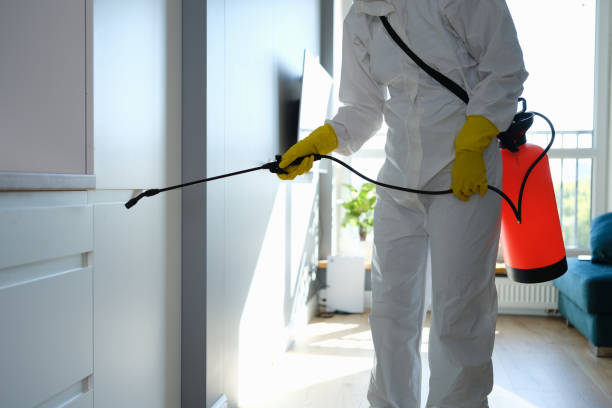 Best Residential Mold Remediation in Raymond, WA